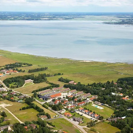 Cxi * Blavand